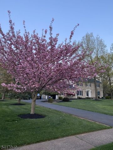 100 Knickerbocker Dr, Montgomery Twp., NJ 08502