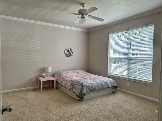 2255 Braeswood Park Drive 279, Houston, TX 77030