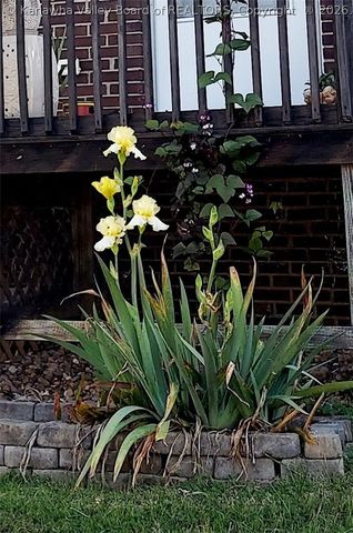 21 Warren Place, Charleston, WV 25302