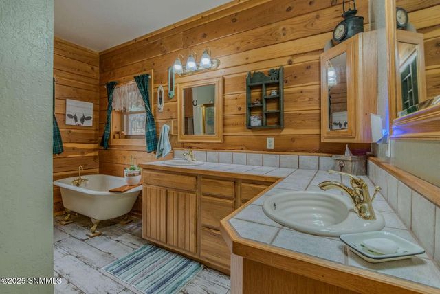 58 16 Springs Drive, Cloudcroft, NM 88317