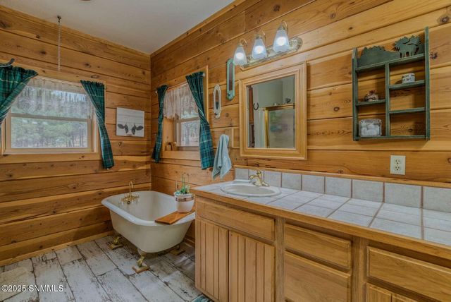 58 16 Springs Drive, Cloudcroft, NM 88317