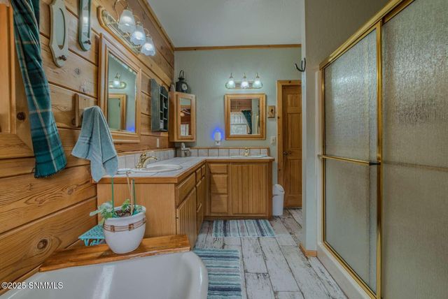 58 16 Springs Drive, Cloudcroft, NM 88317