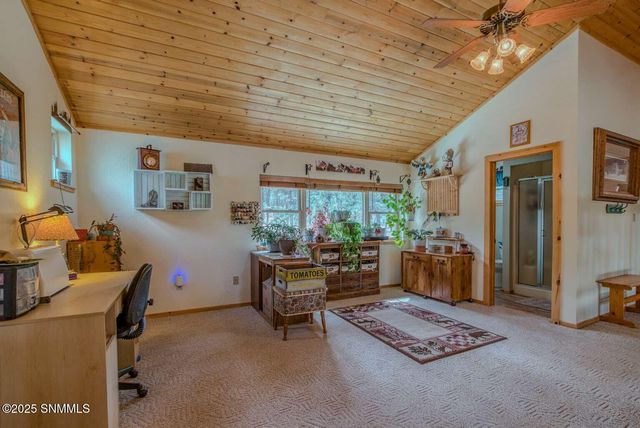 58 16 Springs Drive, Cloudcroft, NM 88317