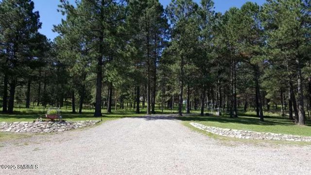 58 16 Springs Drive, Cloudcroft, NM 88317