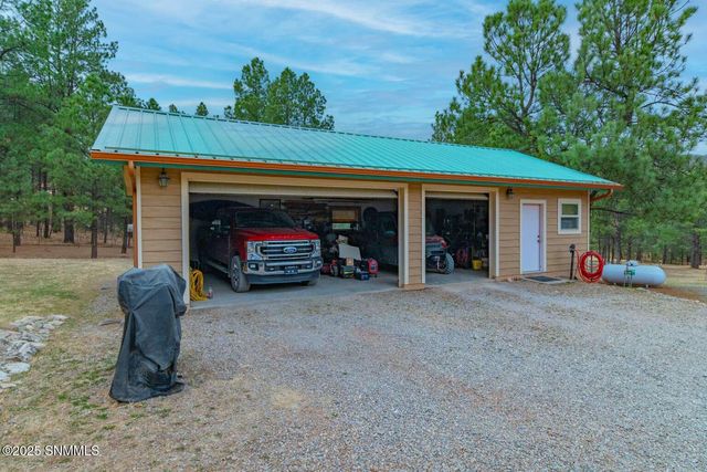 58 16 Springs Drive, Cloudcroft, NM 88317