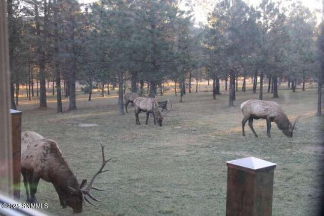 58 16 Springs Drive, Cloudcroft, NM 88317