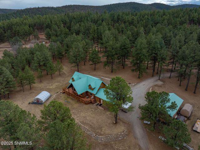 58 16 Springs Drive, Cloudcroft, NM 88317
