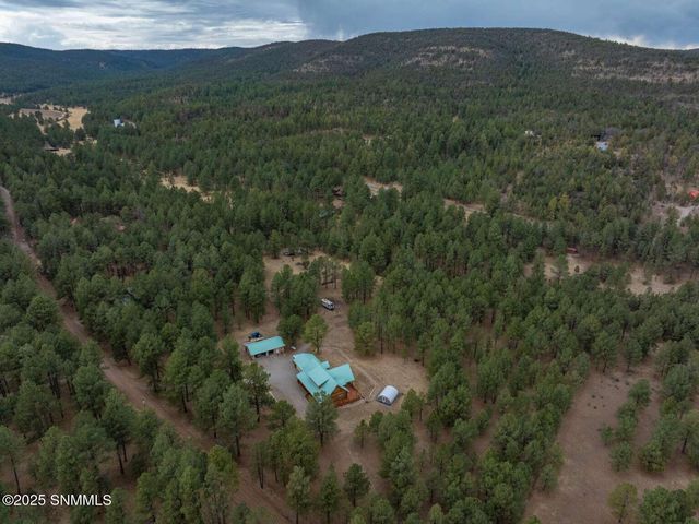 58 16 Springs Drive, Cloudcroft, NM 88317
