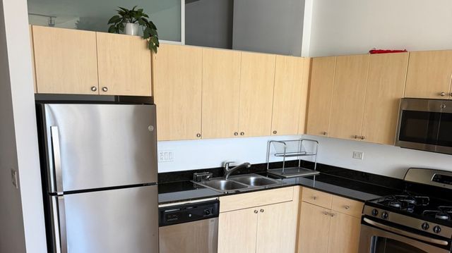 235 W Van Buren Street 2918, Chicago, IL 60607