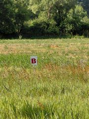 Stony Lake Road, Jackson, MI 49201