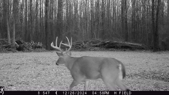 0 Veterans Dr, Huntingdon, TN 38344