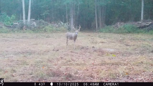 0 Veterans Dr, Huntingdon, TN 38344