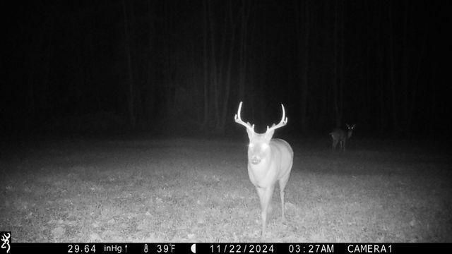 0 Veterans Dr, Huntingdon, TN 38344