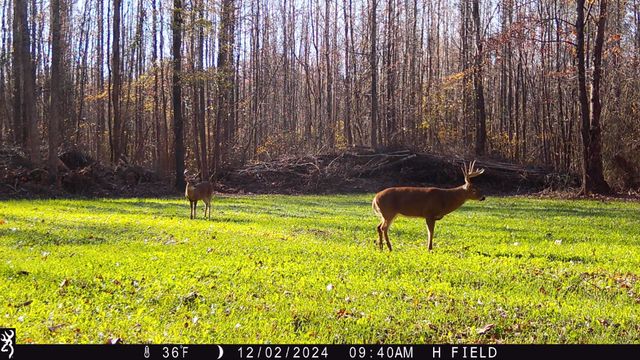 0 Veterans Dr, Huntingdon, TN 38344