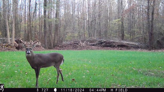 0 Veterans Dr, Huntingdon, TN 38344