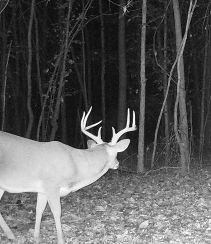 0 Veterans Dr, Huntingdon, TN 38344