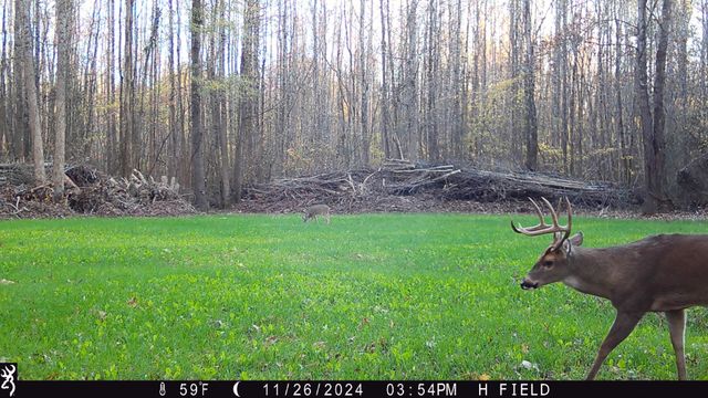 0 Veterans Dr, Huntingdon, TN 38344