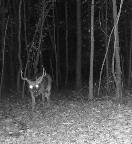 0 Veterans Dr, Huntingdon, TN 38344