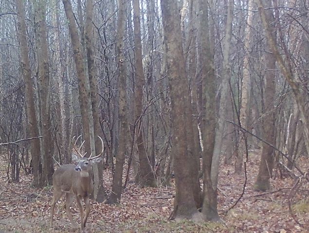 0 Veterans Dr, Huntingdon, TN 38344