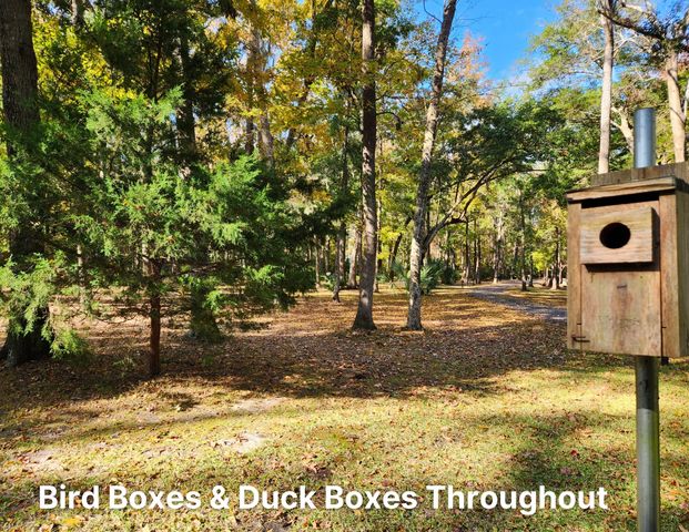 7 Barnaby, Seabrook, SC 29940