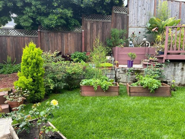 1931 Glen Avenue, San Bruno, CA 94066