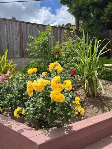 1931 Glen Avenue, San Bruno, CA 94066