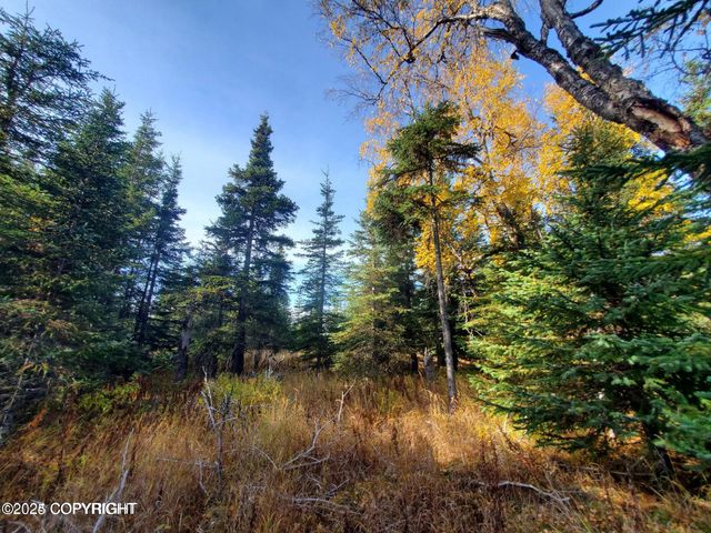 67050 Homestead Road, Ninilchik, AK 99639