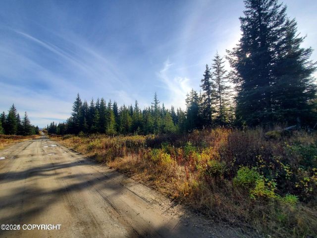 67050 Homestead Road, Ninilchik, AK 99639