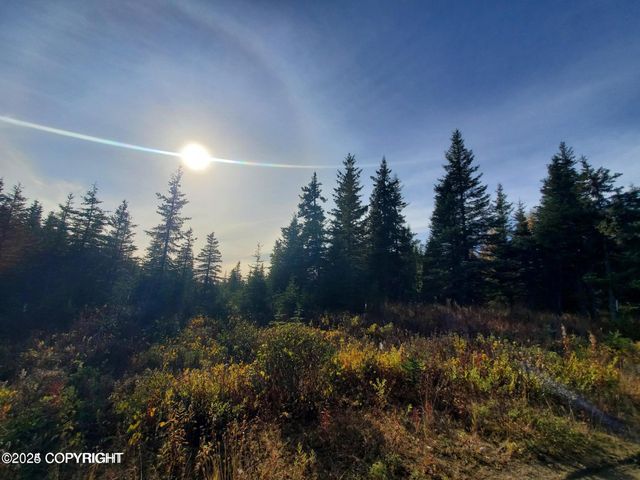 67050 Homestead Road, Ninilchik, AK 99639