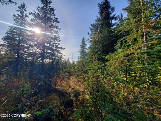 67050 Homestead Road, Ninilchik, AK 99639