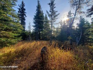 67050 Homestead Road, Ninilchik, AK 99639