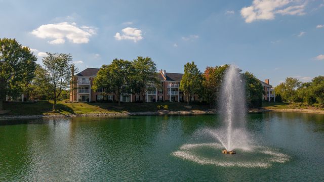 5501 Carriageway Drive 313A, Rolling Meadows, IL 60008