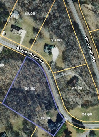 2005 Beaver Ridge Dr, White Bluff, TN 37187