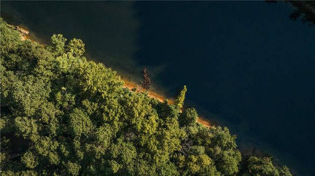 TBD County Rd 2121, Eureka Springs, AR 72631