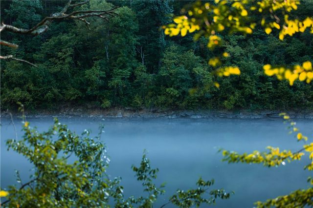 TBD County Rd 2121, Eureka Springs, AR 72631