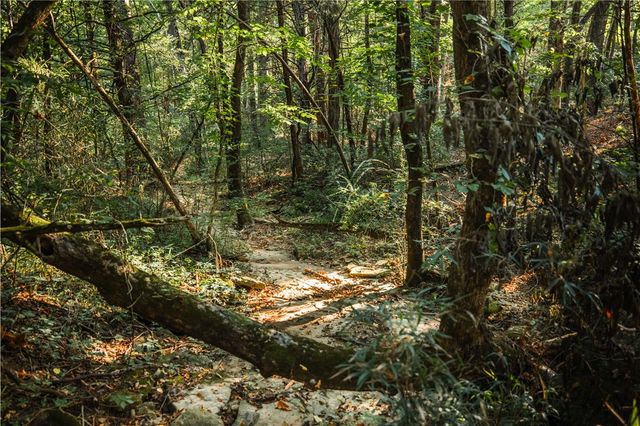 TBD County Rd 2121, Eureka Springs, AR 72631