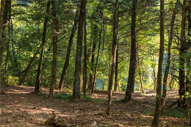 TBD County Rd 2121, Eureka Springs, AR 72631