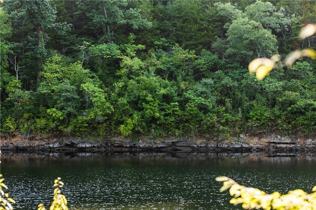 TBD County Rd 2121, Eureka Springs, AR 72631