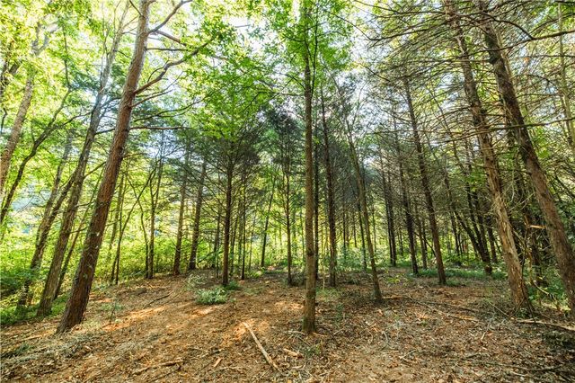 TBD County Rd 2121, Eureka Springs, AR 72631