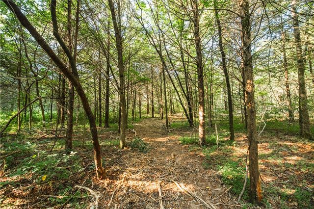 TBD County Rd 2121, Eureka Springs, AR 72631