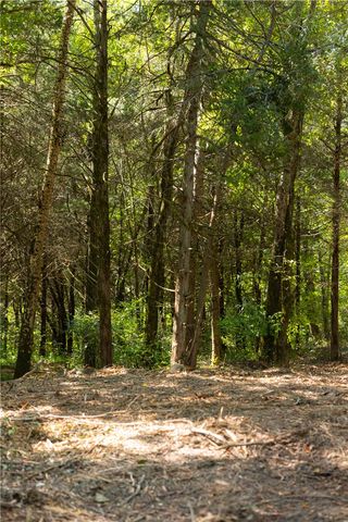 TBD County Rd 2121, Eureka Springs, AR 72631
