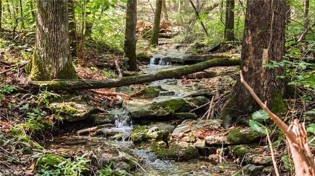TBD County Rd 2121, Eureka Springs, AR 72631