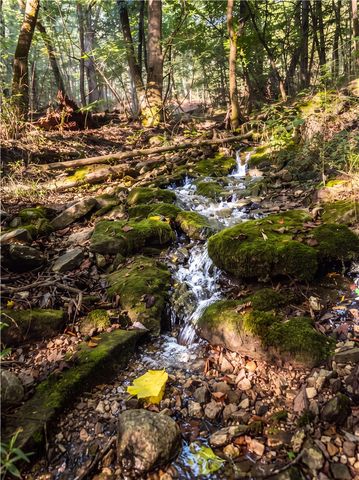 TBD County Rd 2121, Eureka Springs, AR 72631