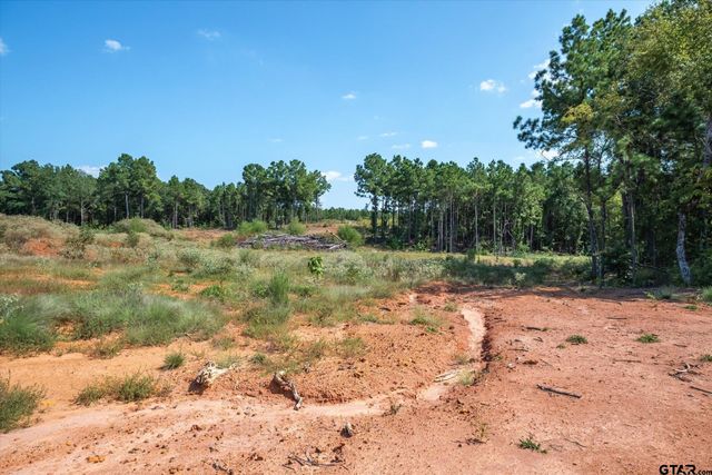 18021 S State Highway 155, Flint, TX 75762