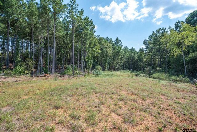 18021 S State Highway 155, Flint, TX 75762