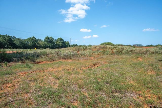 18021 S State Highway 155, Flint, TX 75762