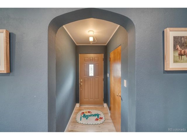 219 S Colorado Ave, Buena Vista, CO 81211