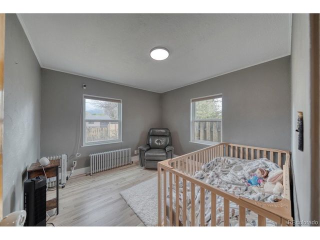 219 S Colorado Ave, Buena Vista, CO 81211
