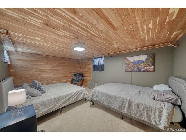 219 S Colorado Ave, Buena Vista, CO 81211
