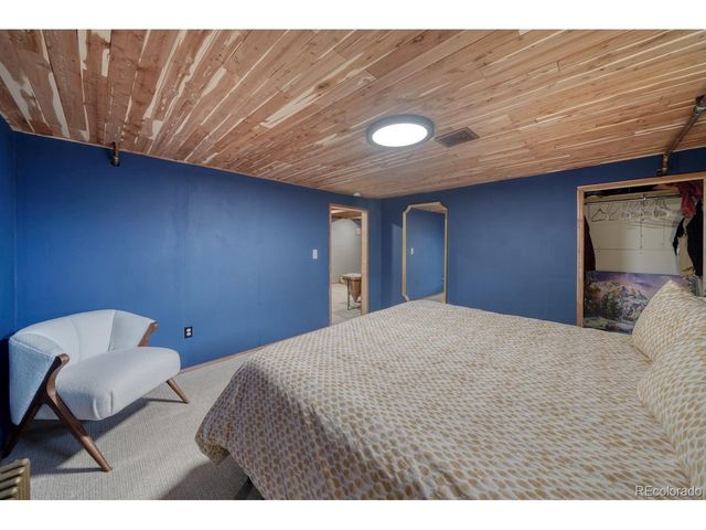 219 S Colorado Ave, Buena Vista, CO 81211